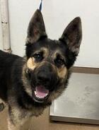 Eggs Benedict ID#A137447