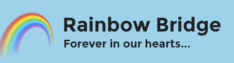 Rainbow Bridge - We'll never forget you...