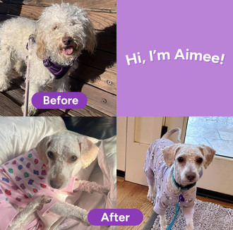 Aimee D6063 (was Ayla)