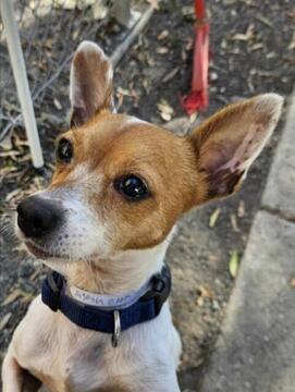 Sigourney ID#A138569