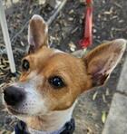 Sigourney ID#A138569