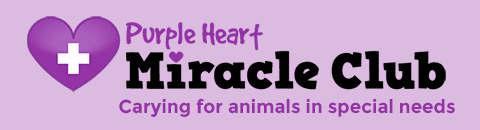 Learn more about our Miracle Club